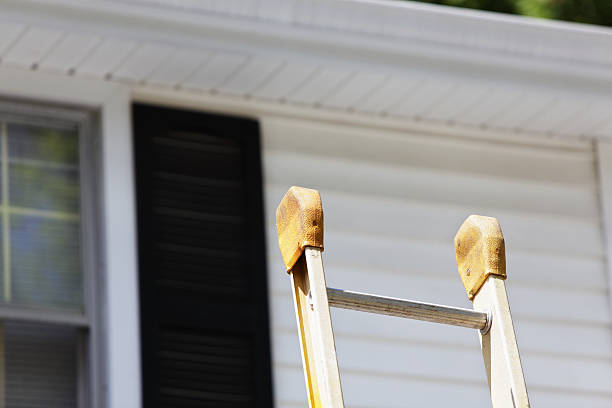 Best Carpet Removal and Disposal  in Levittown, PA